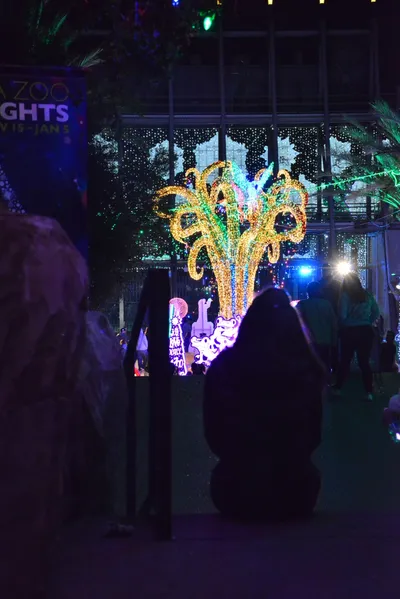 DSC_7096 (Large).JPG